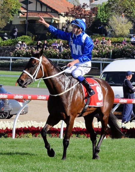 cox plate_winx 14