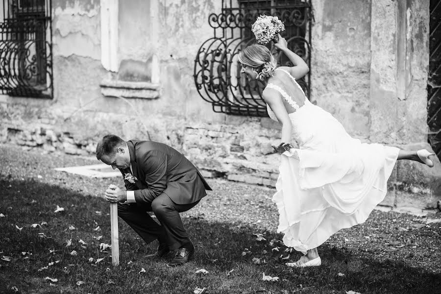 Photographe de mariage Tomas Maly (tomasmaly). Photo du 3 décembre 2016