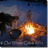 frozen bough, snow drops, fire