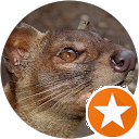 Fossa Brischuk