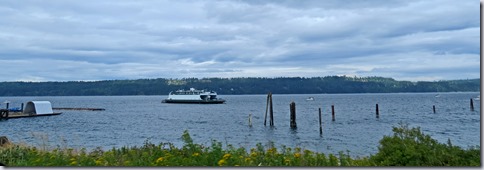 IMG_5934 IMG_5934