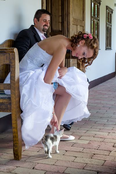 Wedding photographer Sándor Molnár (szemvideo). Photo of 25 June 2014