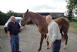 Boerderijbezoek K1