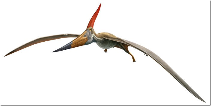 pteranadon_dynamic_lead_slide