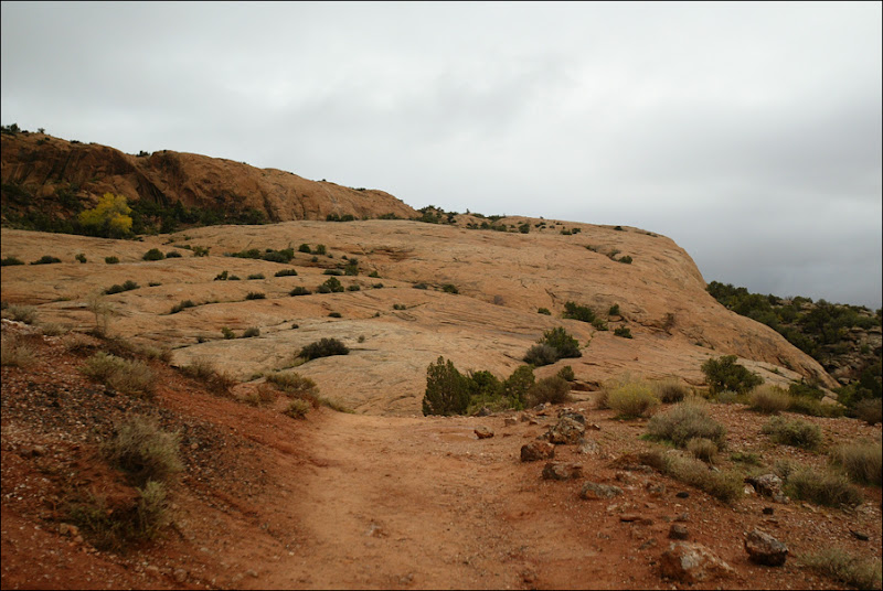 Delicate Arch Trail