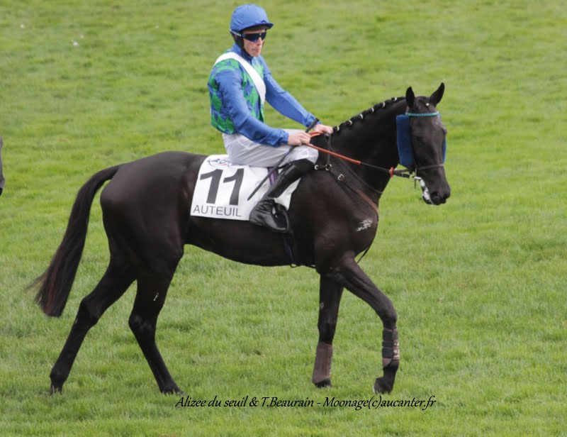 Photos Auteuil 7-11-2015 (48h de l'obstacle) IMG_6439