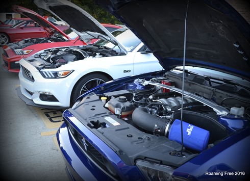 Red, White & Blue . . . Mustangs