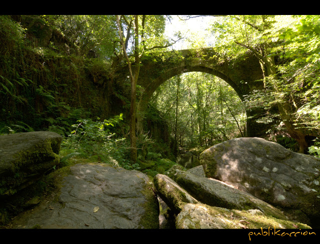 Visitar las Fragas do Eume / Fragas del Eume (A Coruña) - Foro Galicia