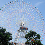 ferris wheel in yokohama in Yokohama, Japan 