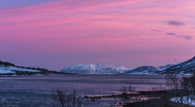 The Land of the Arctic Light. Photographer Benny Høynes