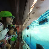 親子遠足「名古屋港水族館」