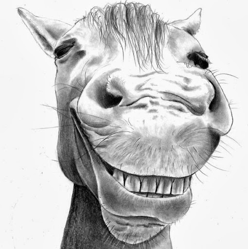 Profile picture of JP