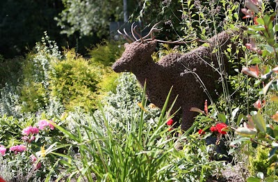 Photos of Abbeyleix Manor Hotel