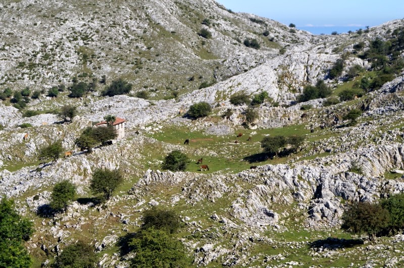 Picu Mirueñu y circular por el Sueve oriental - Descubriendo Asturias (11)