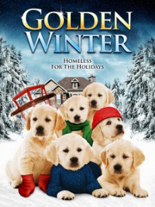 Golden Winter (2012) BluRay 720p 650MB