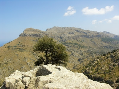 Berglandschaften auf Mallorca (C) Kerstin Schalow pixelio.de