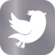 Txiicha Lite for Twitter: Best Chronological TL Download on Windows