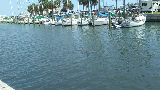 Environmental Protection Organization «Manatee Observation and Education Center», reviews and photos, 480 N Indian River Dr, Fort Pierce, FL 34950, USA