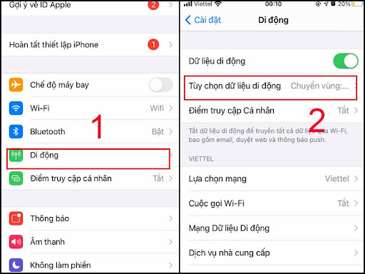 Chọn Di động và Tùy chọn dữ liệu di động