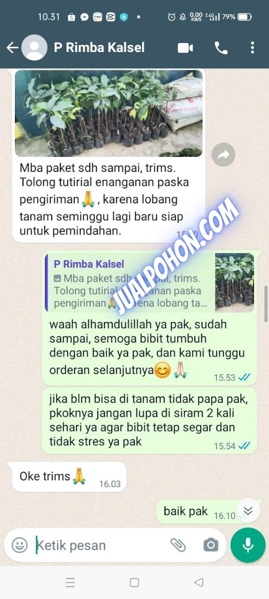 Testimoni Pelanggan Bibit Pohon