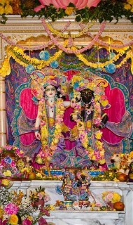 Hare Krishna