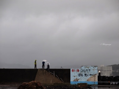 2011年3月　東日本大地震　南三陸町2012年撮影