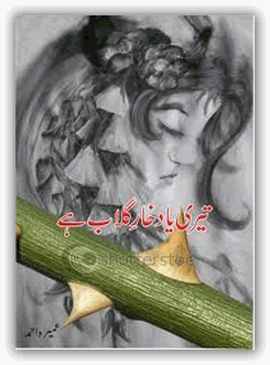 Teri Yaad Khare Gulab Hai is a very well written complex script novel by Umera Ahmed which depicts normal emotions and behaviour of human like love hate greed power and fear , Umera Ahmed is a very famous and popular specialy among female readers