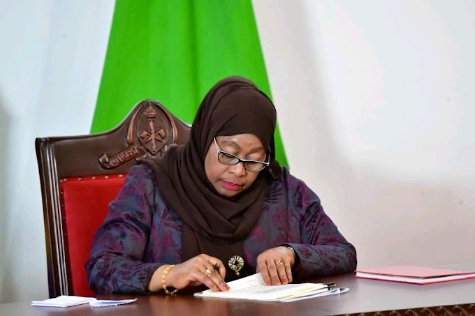 RAIS SAMIA SULUHU HASSAN AFANYA UTEUZI MPYA