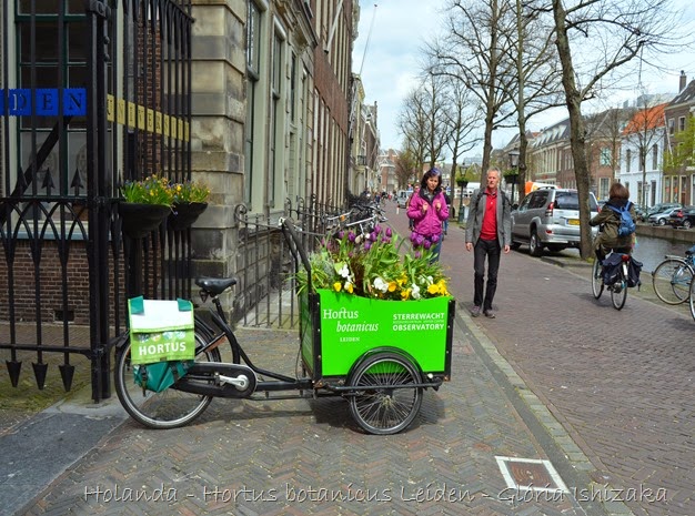 Glória Ishizaka - Hortus Botanicus Leiden - 2