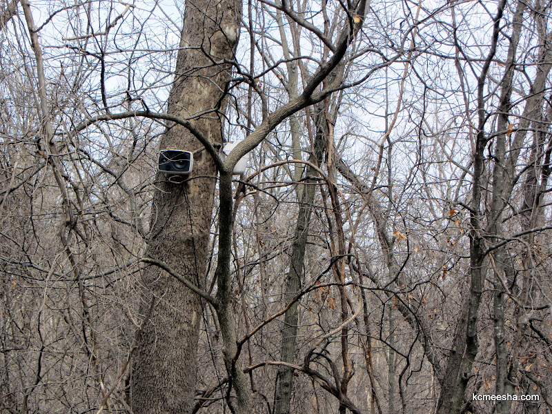 Weird Missouri Precious Moments Kansas City With The Russian Accent