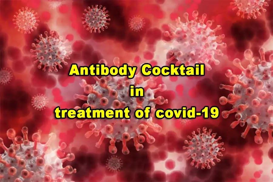 What is an antibody cocktail in treatment of covid-19?