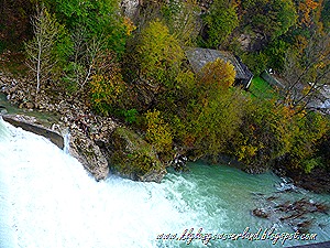 P1060179 P1060179