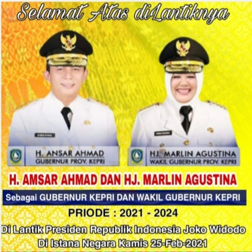 Wakil gubernur kepri