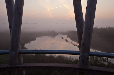 Aussichtsturm Linteler Weiden in OHZ