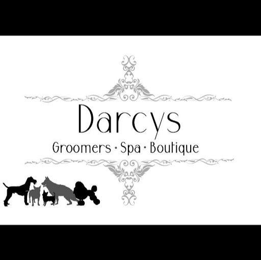 Darcys Dog Grooming Salon