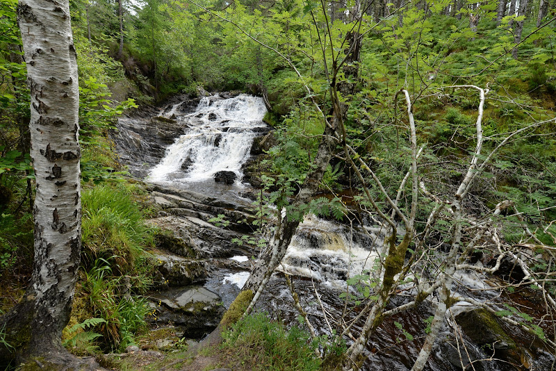 Highlands y Caithness - Castillos y cascadas en Escocia (2015) (47)