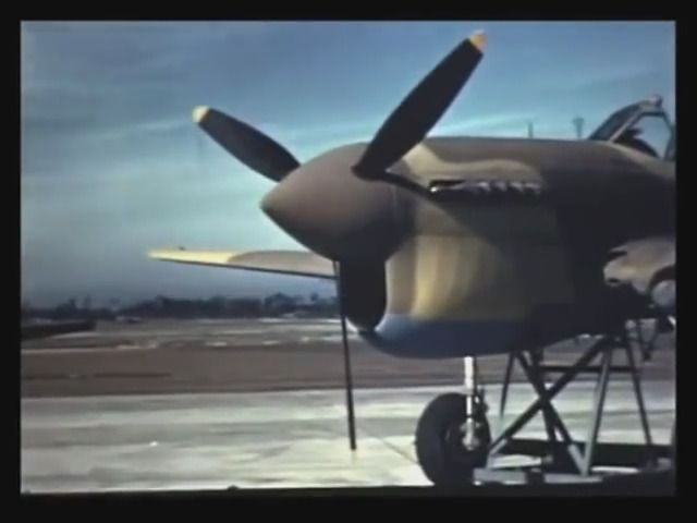 P-40snapshot.jpg