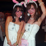 bunnies at Sensation Tokyo 2015 in Chiba, Japan 