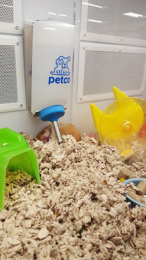 Pet Supply Store «Petco Animal Supplies», reviews and photos, 157-20 Cross Bay Blvd, Howard Beach, NY 11414, USA