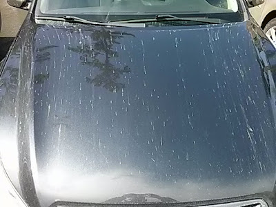 Pollen Streaks on a Car Hood