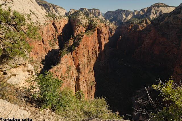 ANGELS LANDING TRAIL EN ZION N.P. (UTAH, USA), Excursiones-USA (20)