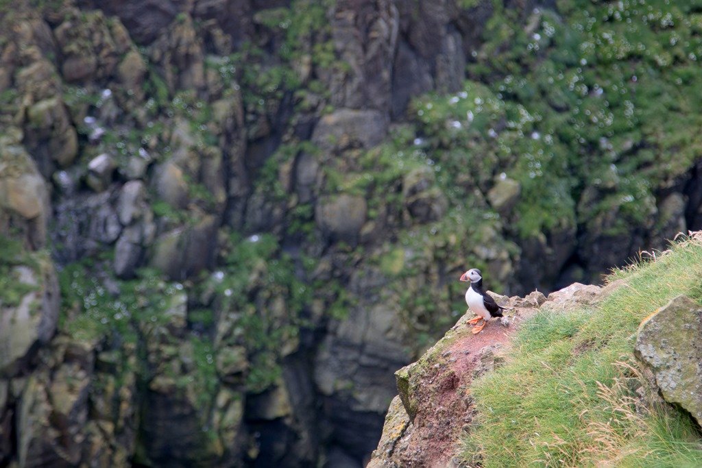 [London-Faroe+2017-760%5B7%5D]