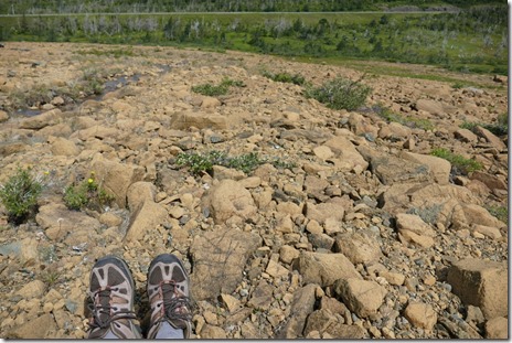 nl_boone_bay_gros_morne_tablelands4