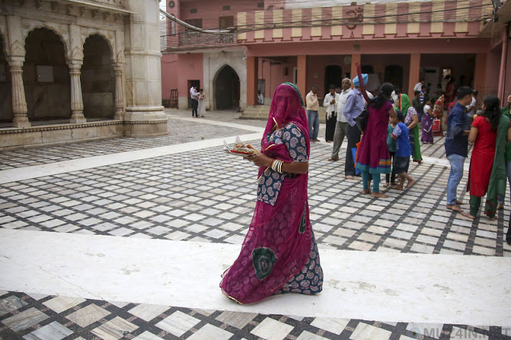 Karni Mata, o templo dos ratos na Índia