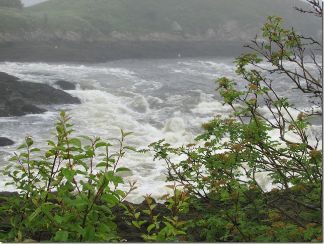 The Reversing Rapids at St. John, NB at Low Tide