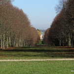 Forêt domaniale des Camaldules : allée royale