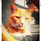 Sven chillin' 20120714-01-sven.jpg