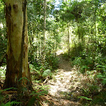 The rocky track north of the Mooney Mooney Creek (372856)