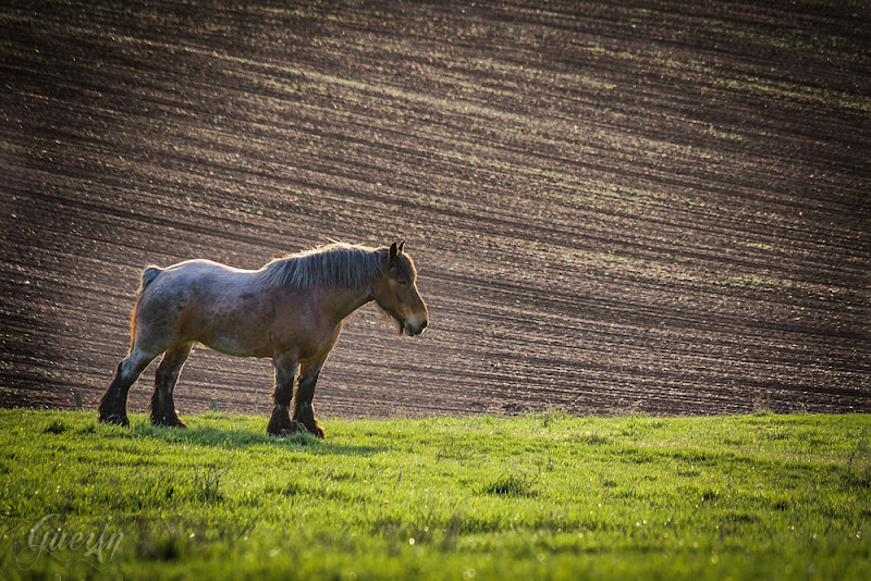 POTD NON Lumix du 26.04.13 WebIMGP1280