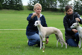 klubowa jezkovice2012-cac7.jpg